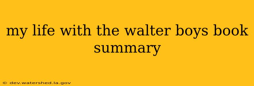 my life with the walter boys book summary