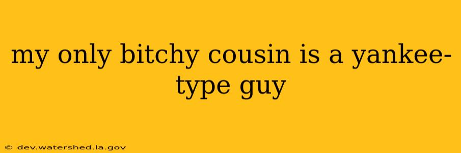 my only bitchy cousin is a yankee-type guy