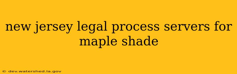 new jersey legal process servers for maple shade