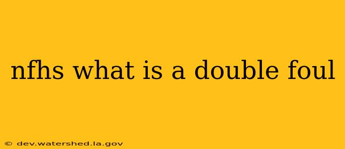 nfhs what is a double foul