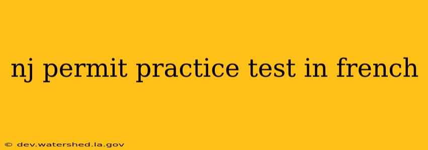 nj permit practice test in french