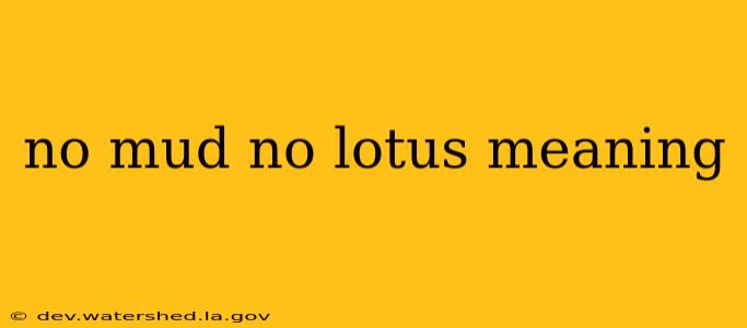 no mud no lotus meaning