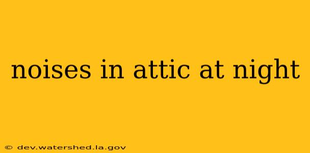 noises in attic at night