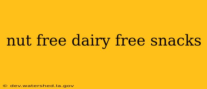 nut free dairy free snacks