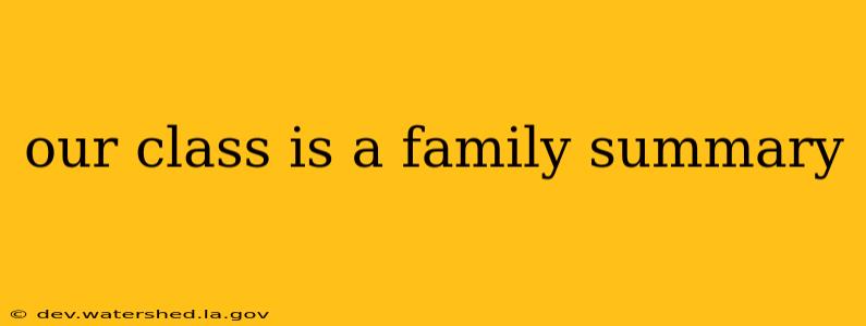 our class is a family summary
