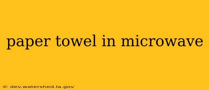 paper towel in microwave