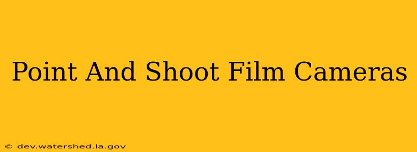 point and shoot film cameras
