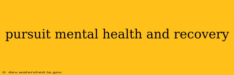 pursuit mental health and recovery