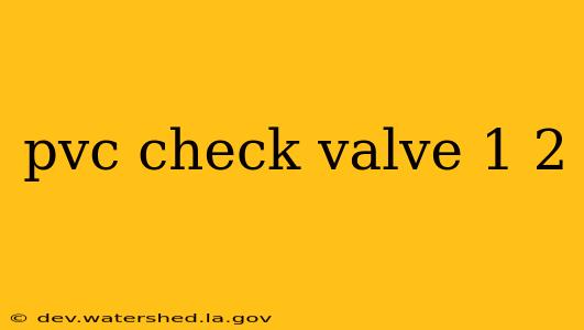 pvc check valve 1 2