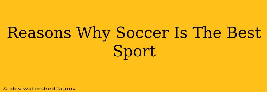 reasons why soccer is the best sport