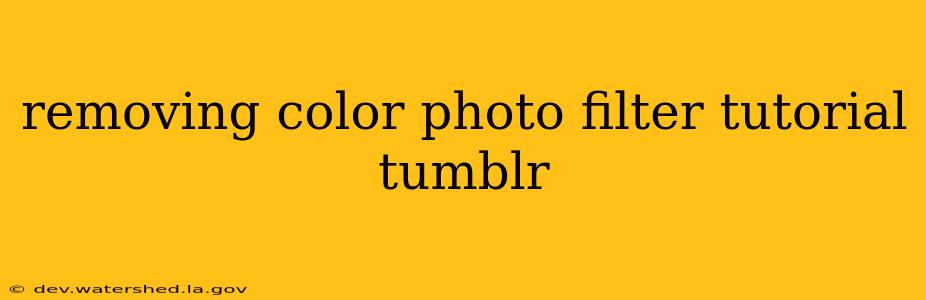 removing color photo filter tutorial tumblr