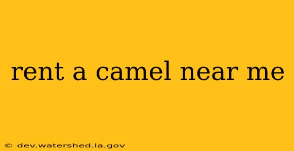 rent a camel near me