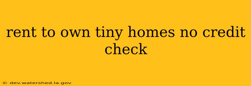 rent to own tiny homes no credit check