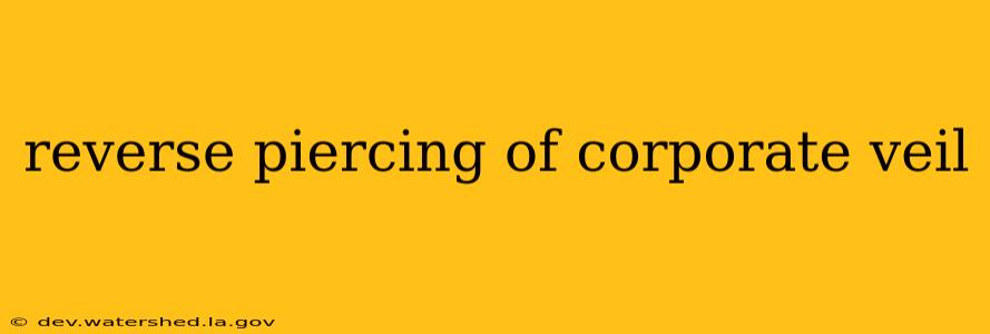 reverse piercing of corporate veil