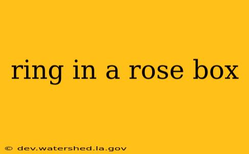 ring in a rose box