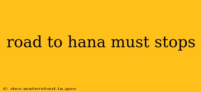road to hana must stops