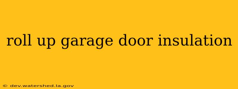 roll up garage door insulation