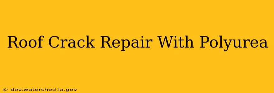 roof crack repair with polyurea