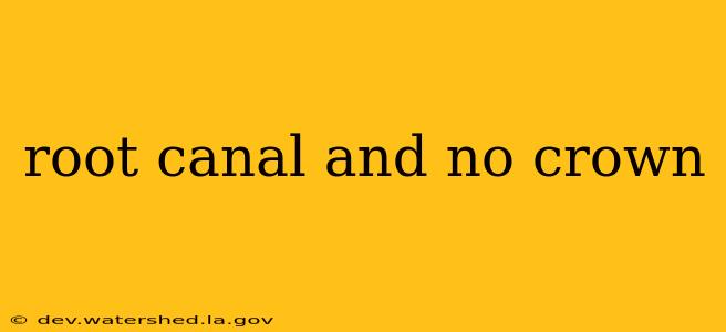 root canal and no crown