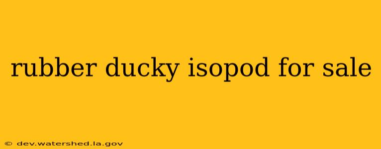 rubber ducky isopod for sale