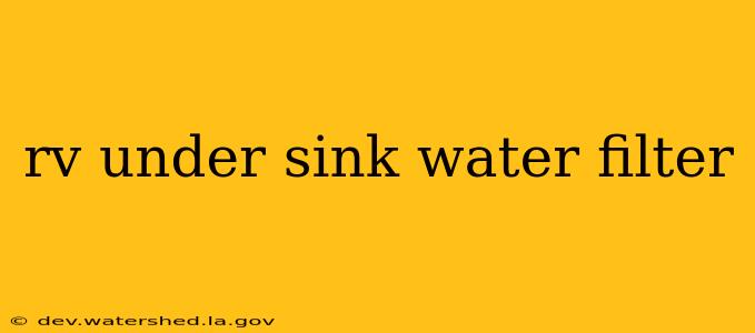rv under sink water filter