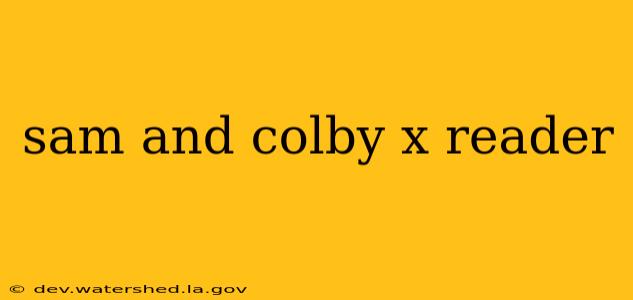 sam and colby x reader