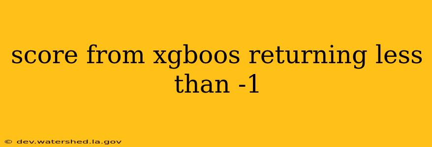 score from xgboos returning less than -1