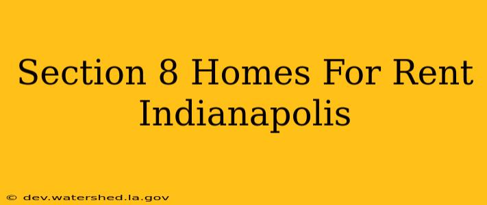 section 8 homes for rent indianapolis