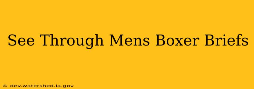 see through mens boxer briefs see through mens boxer briefs