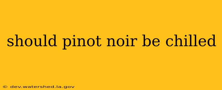 should pinot noir be chilled