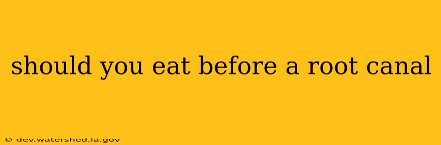 should you eat before a root canal