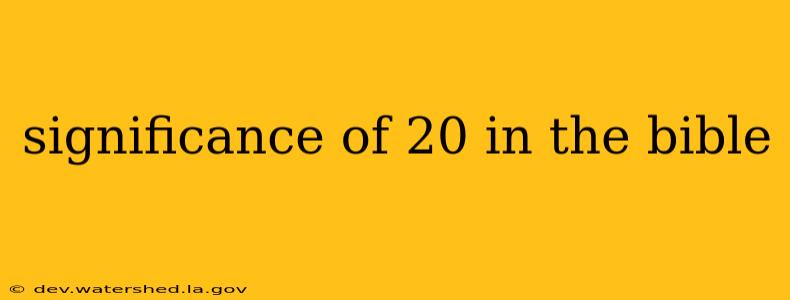 significance of 20 in the bible