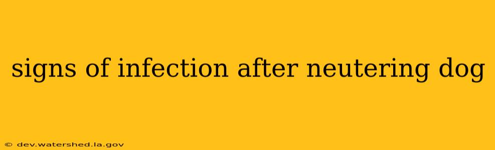 signs of infection after neutering dog