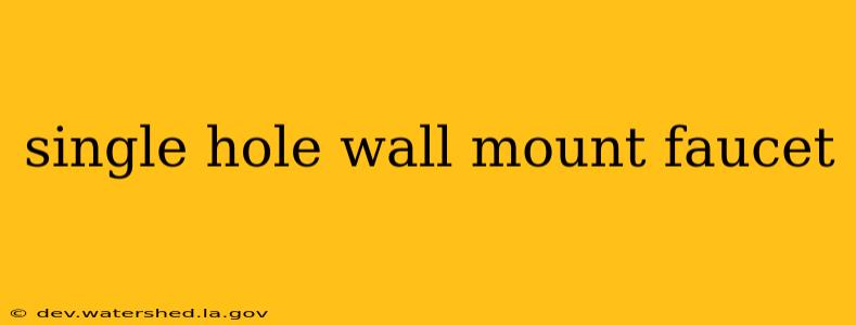 single hole wall mount faucet