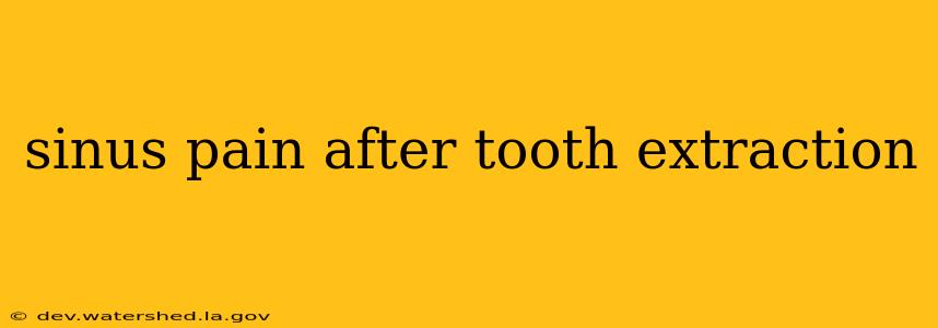 sinus pain after tooth extraction