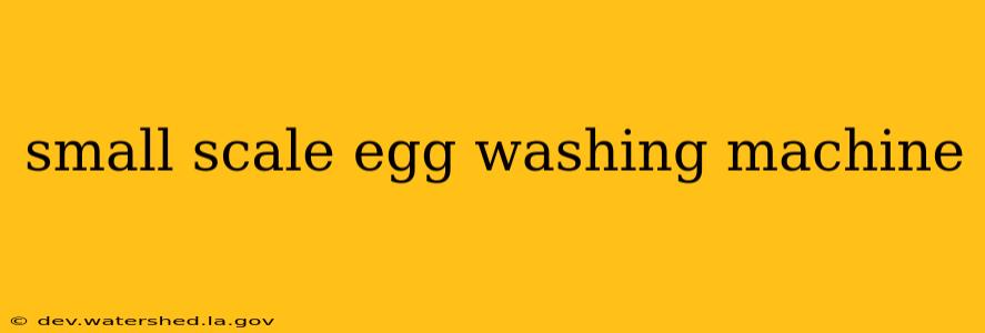 small scale egg washing machine
