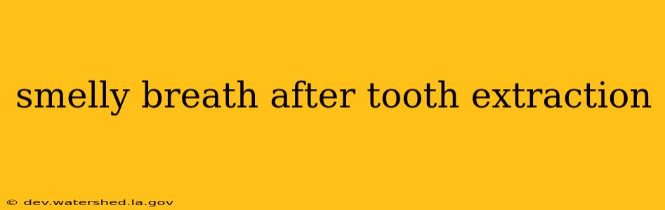 smelly breath after tooth extraction