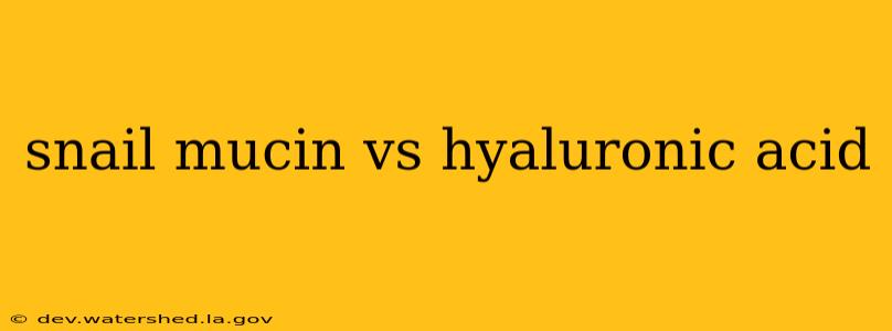 snail mucin vs hyaluronic acid