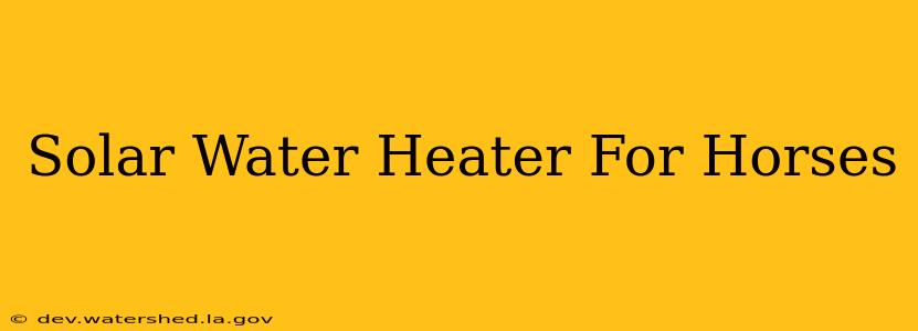 solar water heater for horses