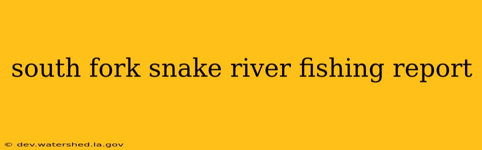 south fork snake river fishing report