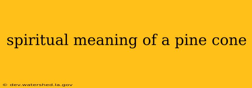 spiritual meaning of a pine cone
