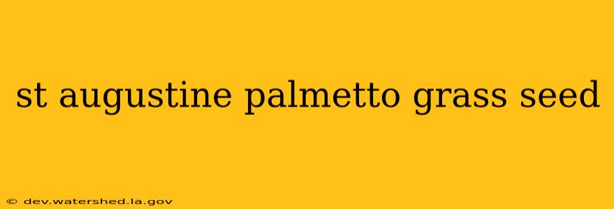 st augustine palmetto grass seed