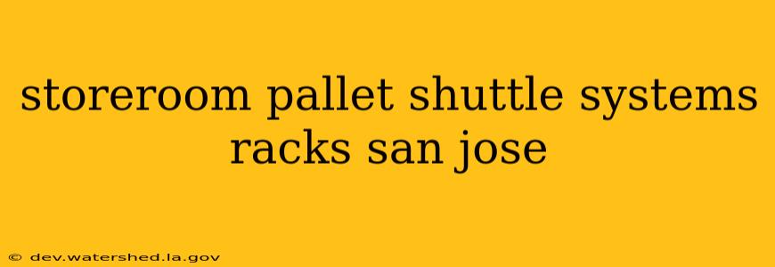 storeroom pallet shuttle systems racks san jose