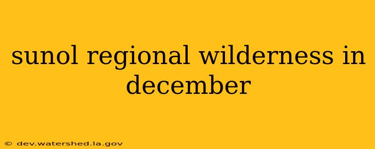 sunol regional wilderness in december