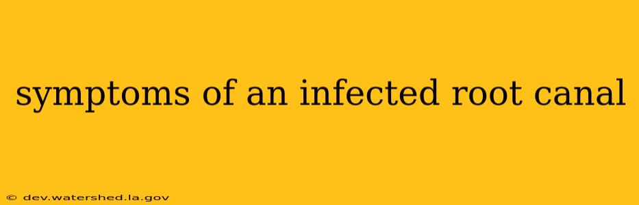 symptoms of an infected root canal