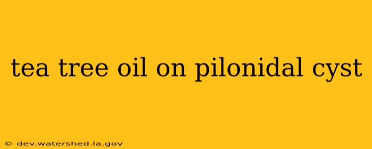 tea tree oil on pilonidal cyst