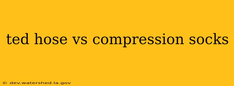 ted hose vs compression socks