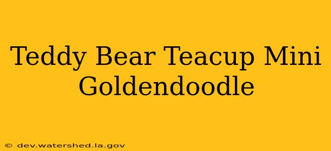 teddy bear teacup mini goldendoodle