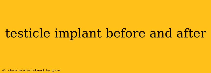 testicle implant before and after