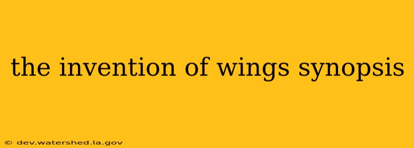 the invention of wings synopsis